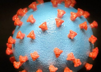 Covid -19  Provvedimento del Governo Covid -19  Provvedimento del Governo